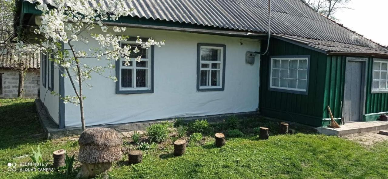 Медова Садиба Subbotiv Zewnętrze zdjęcie