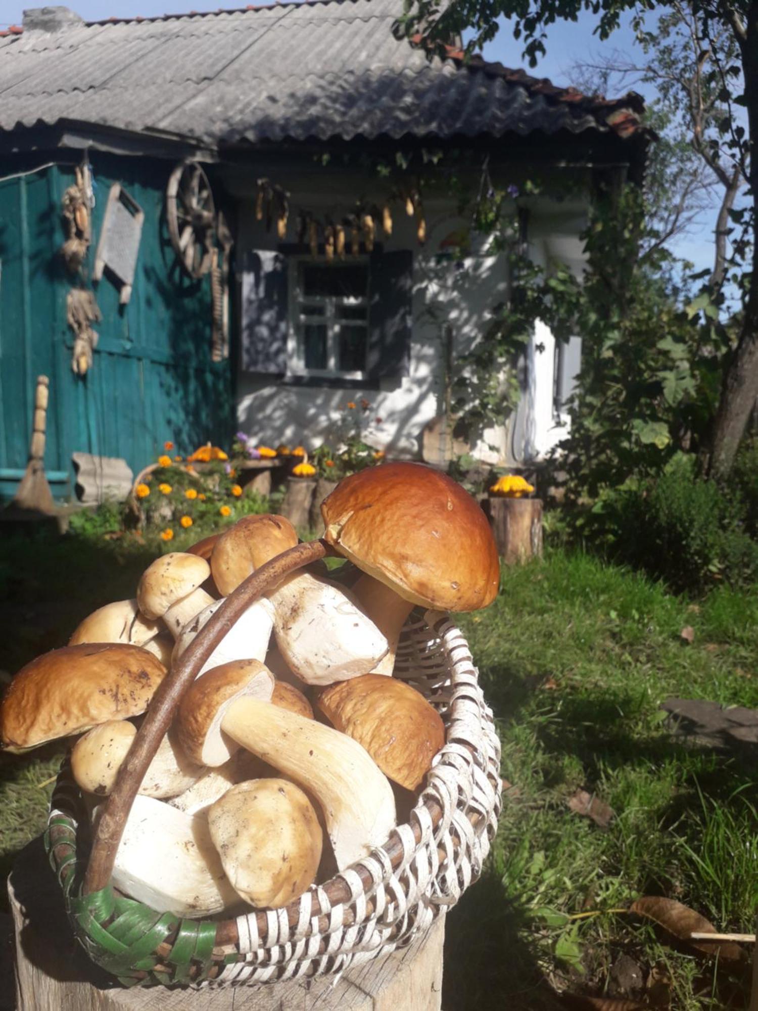 Медова Садиба Subbotiv Pokój zdjęcie